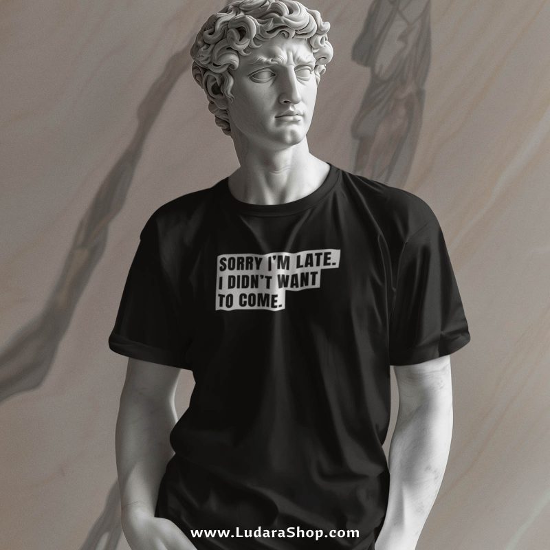 Sorry I'm late. I didn't want to come. - Majica